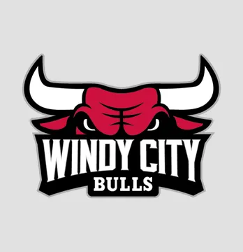 Термонаклейка "Windy city bulls" 19*13,5 см