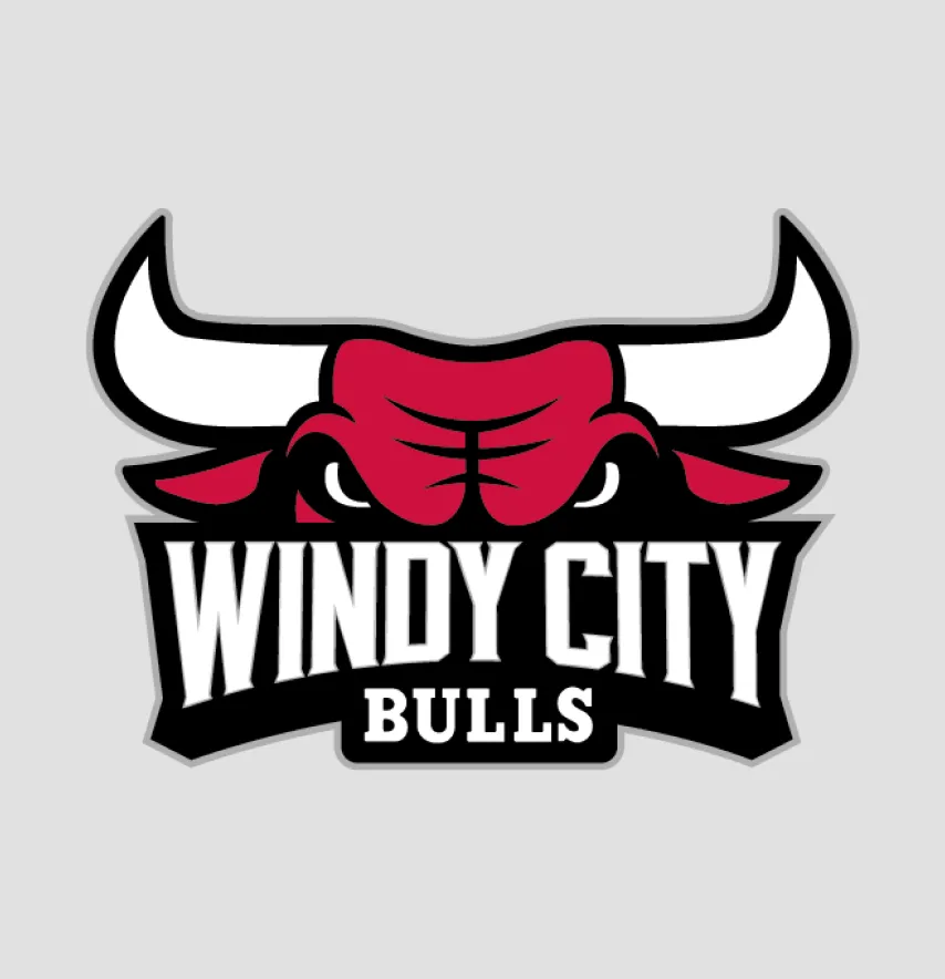 Термоналіпка "Windy city bulls" 19*13,5 см -0