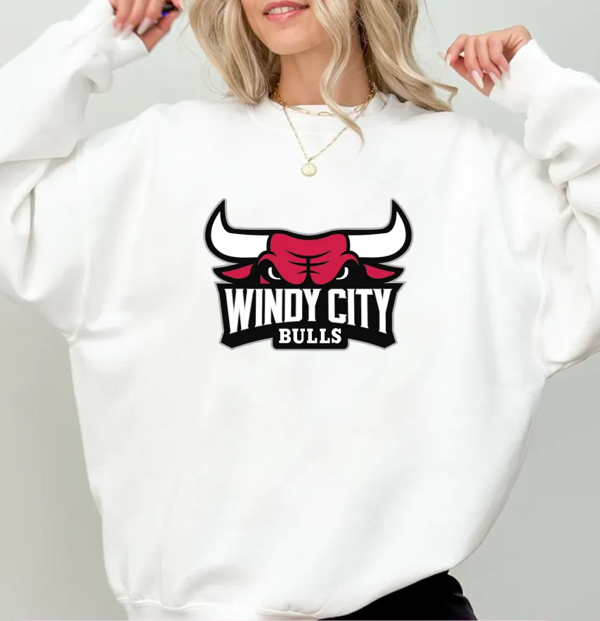 Термонаклейка "Windy city bulls" 19*13,5 см-1