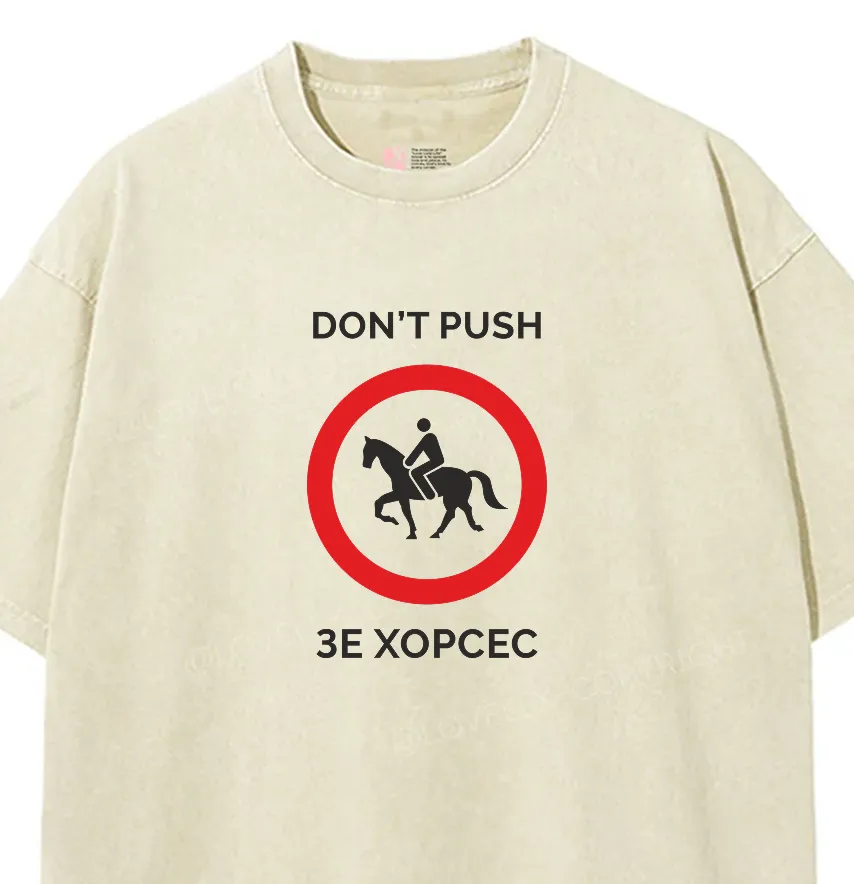 Термонаклейка "Don't Push зе хорсес" 19*27,5 см-1