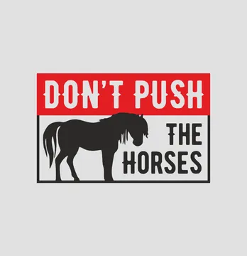 Термоналіпка "Don't Push зе хорсес" 19*12 см