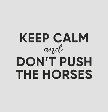 Термонаклейка "Don't Push зе хорсес" 19*11,5 см чорного кольору