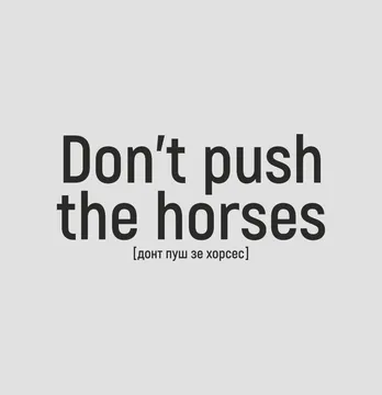 Термонаклейка "Don't Push зе хорсес" 19*9 см чорного кольору