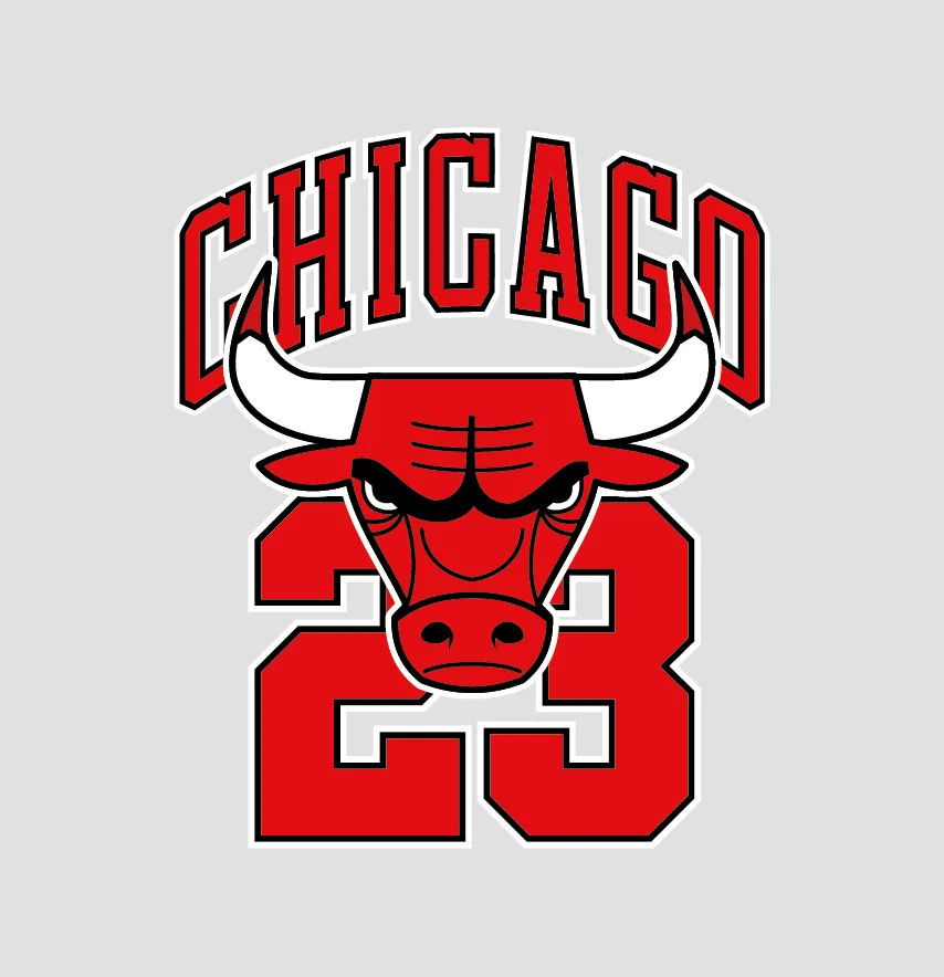 Термоналіпка "Chicago Bulls" 19*23 см-0