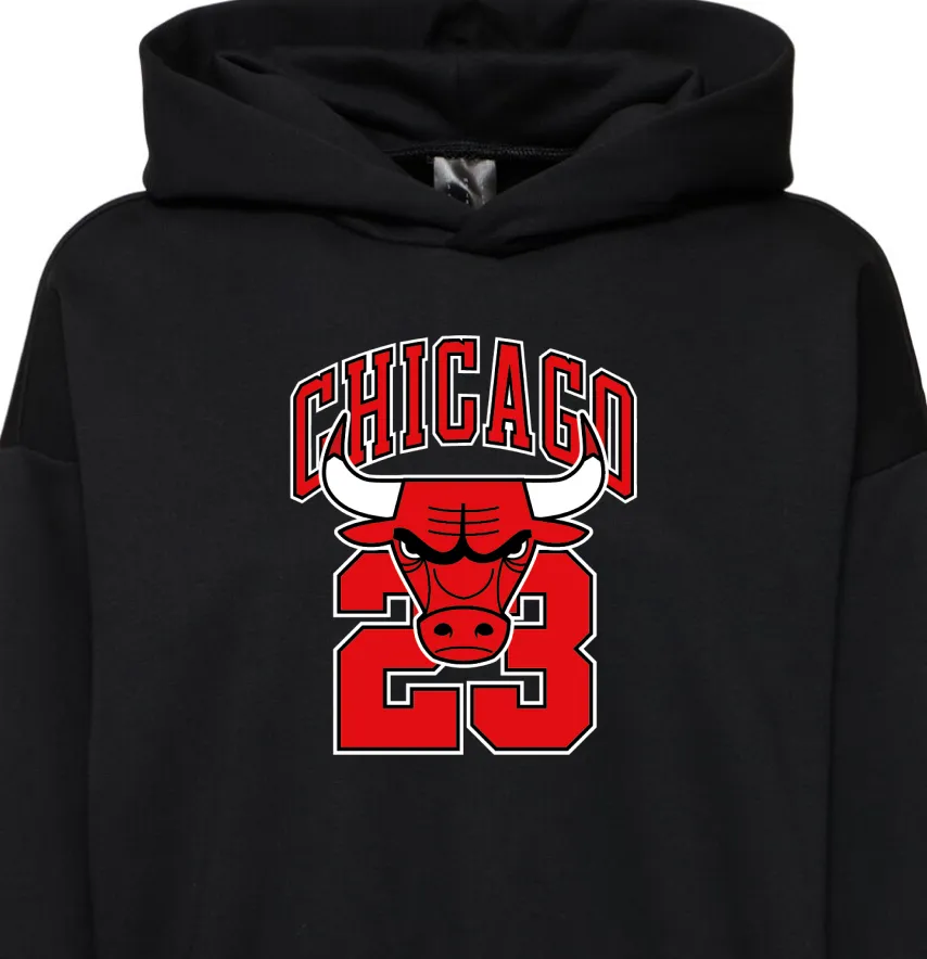 Термоналіпка "Chicago Bulls" 19*23 см-1