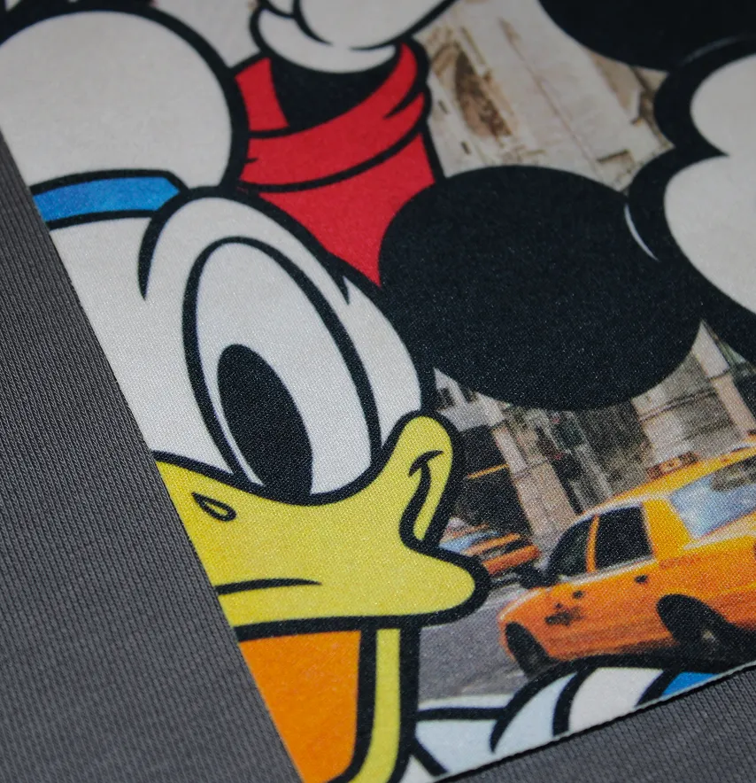 Нашивка тканева "MickeyGoofy" таксі 22*16 см-1